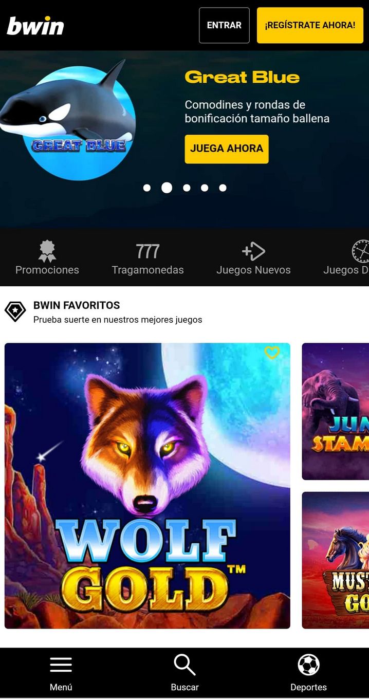 Allgemeine Informationen zum bwin Casino